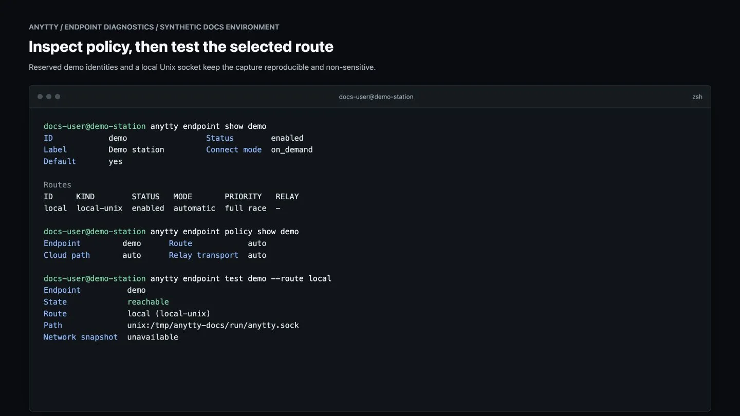 Terminal showing a demo endpoint, automatic route policy, and a successful local route test